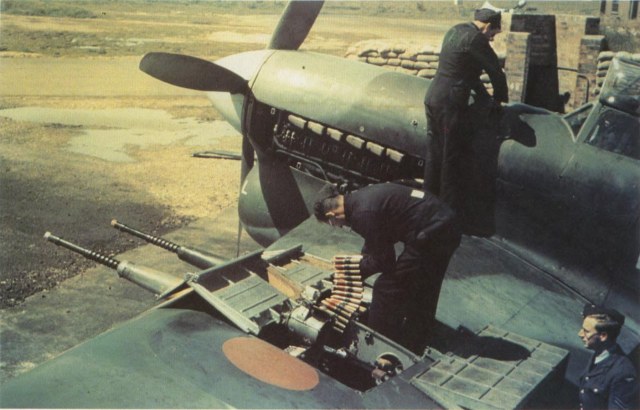 Typhoon Mk Ib R8656.jpg